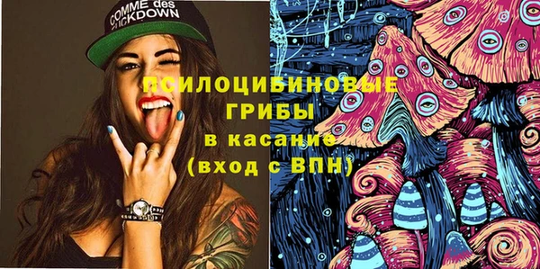 mdpv Верея